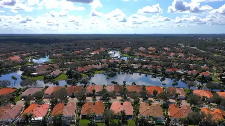 Drone Services Fallback